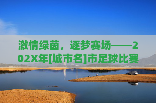 激情绿茵，逐梦赛场——202X年[城市名]市足球比赛活动总结报告