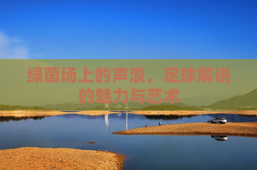 绿茵场上的声浪，足球解说的魅力与艺术