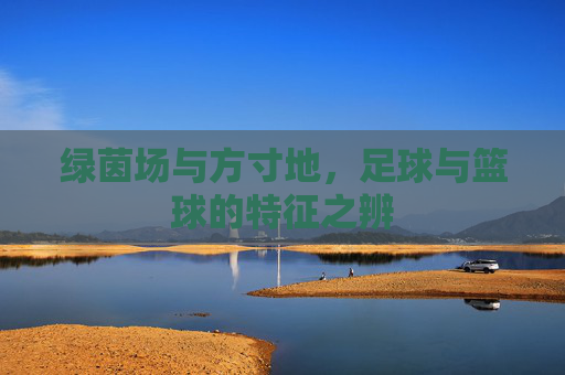 绿茵场与方寸地,足球与篮球的特征之辨