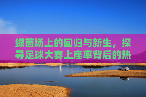 绿茵场上的回归与新生，探寻足球大赛上座率背后的热潮与逻辑