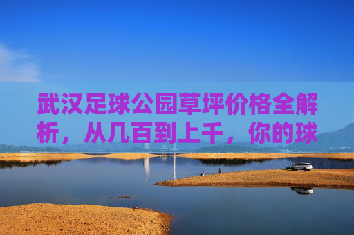 武汉足球公园草坪价格全解析,从几百到上千,你的球队适合哪一种?
