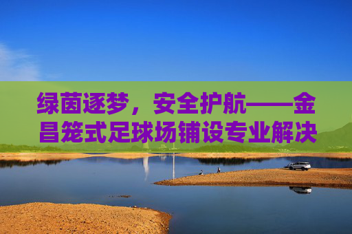 绿茵逐梦,安全护航——金昌笼式足球场铺设专业解决方案