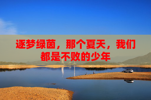 逐梦绿茵,那个夏天,我们都是不败的少年