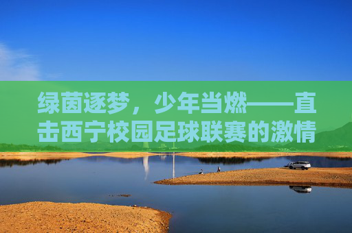 绿茵逐梦，少年当燃——直击西宁校园足球联赛的激情与热血