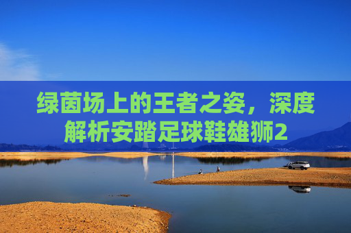 绿茵场上的王者之姿,深度解析安踏足球鞋雄狮2