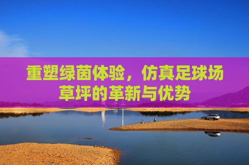 重塑绿茵体验,仿真足球场草坪的革新与优势