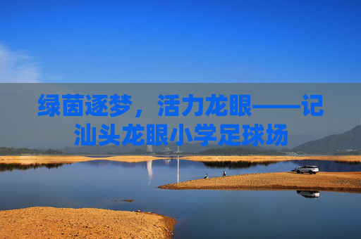 绿茵逐梦，活力龙眼——记汕头龙眼小学足球场