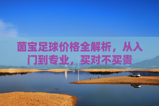 茵宝足球价格全解析，从入门到专业，买对不买贵