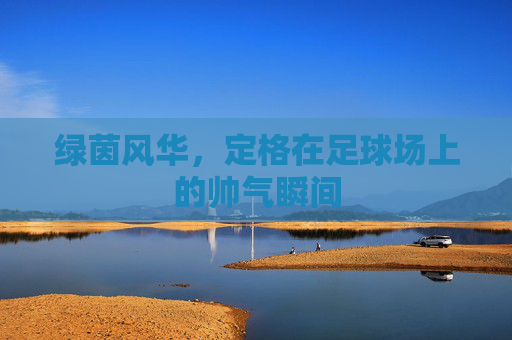 绿茵风华，定格在足球场上的帅气瞬间