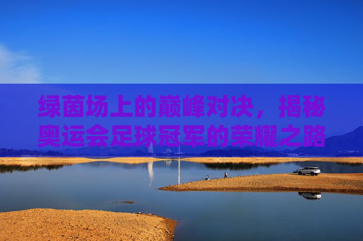 绿茵场上的巅峰对决,揭秘奥运会足球冠军的荣耀之路