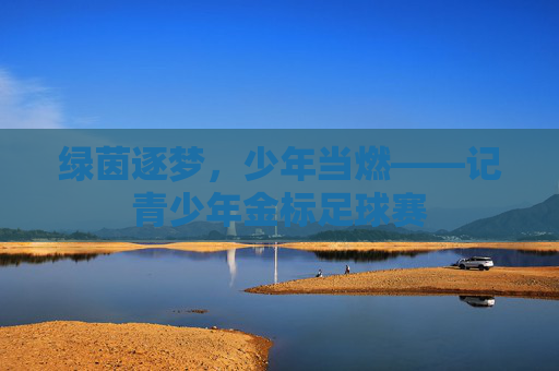 绿茵逐梦，少年当燃——记青少年金标足球赛