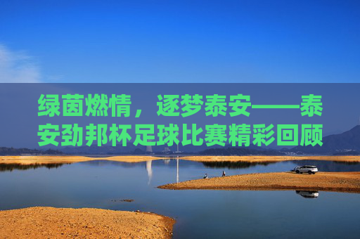 绿茵燃情,逐梦泰安——泰安劲邦杯足球比赛精彩回顾