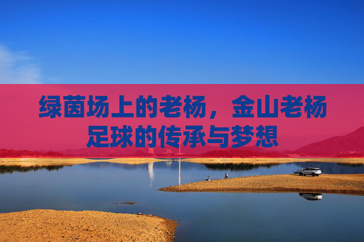 绿茵场上的老杨，金山老杨足球的传承与梦想
