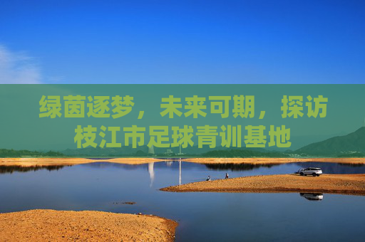绿茵逐梦,未来可期,探访枝江市足球青训基地
