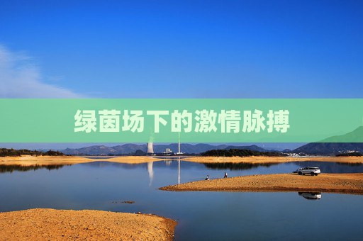 绿茵场下的激情脉搏