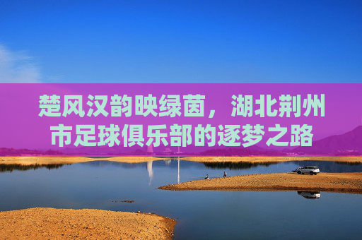 楚风汉韵映绿茵,湖北荆州市足球俱乐部的逐梦之路
