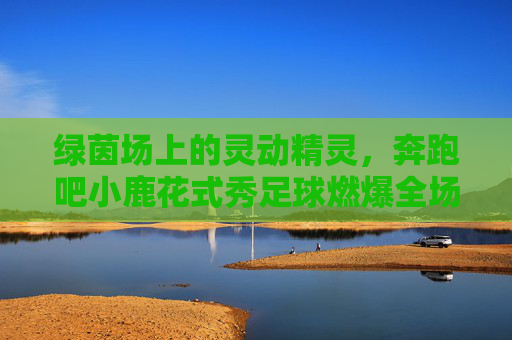 绿茵场上的灵动精灵，奔跑吧小鹿花式秀足球燃爆全场