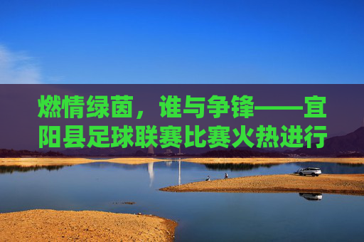 燃情绿茵,谁与争锋——宜阳县足球联赛比赛火热进行中