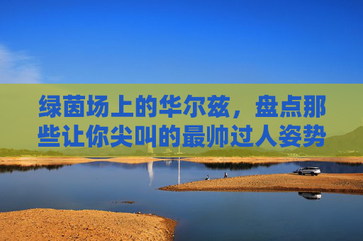 绿茵场上的华尔兹，盘点那些让你尖叫的最帅过人姿势
