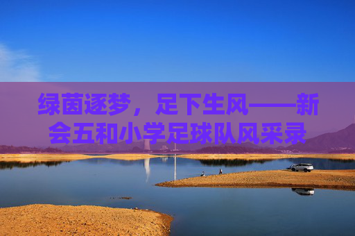 绿茵逐梦，足下生风——新会五和小学足球队风采录