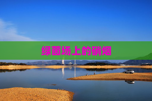 绿茵场上的硝烟