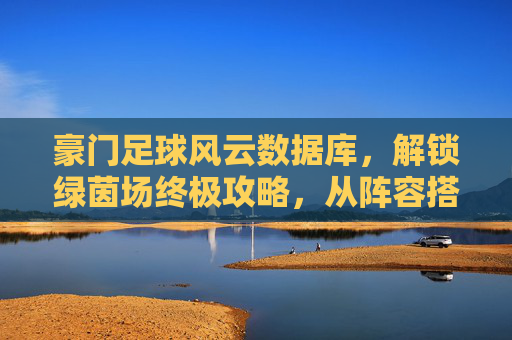 豪门足球风云数据库,解锁绿茵场终极攻略,从阵容搭配到球员养成