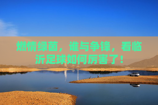燃情绿茵，谁与争锋，看临沂足球如何厉害了！