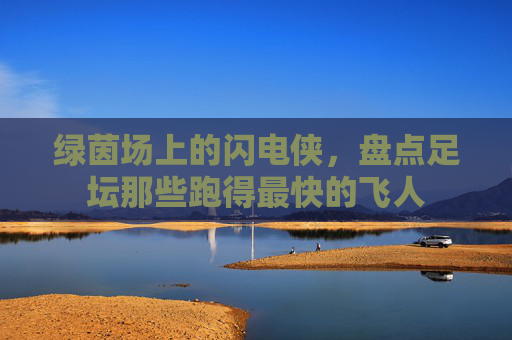 绿茵场上的闪电侠，盘点足坛那些跑得最快的飞人