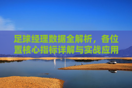足球经理数据全解析,各位置核心指标详解与实战应用