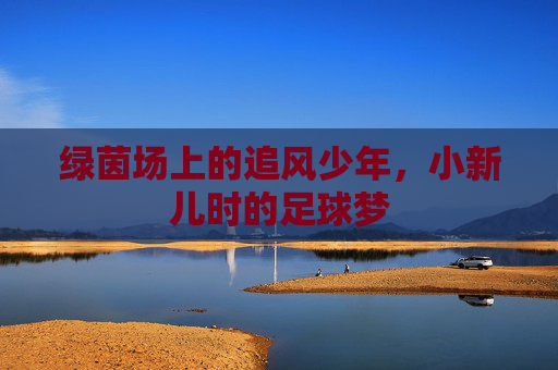绿茵场上的追风少年，小新儿时的足球梦