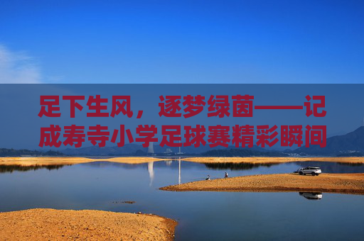 足下生风，逐梦绿茵——记成寿寺小学足球赛精彩瞬间