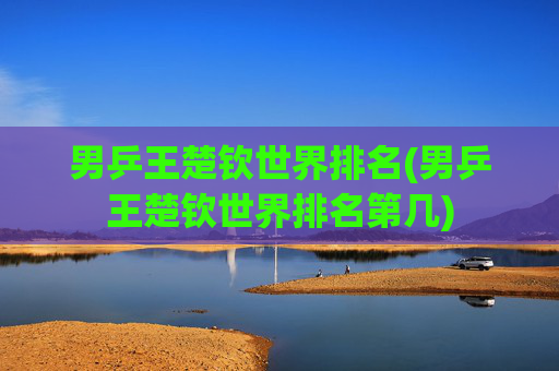男乒王楚钦世界排名(男乒王楚钦世界排名第几)
