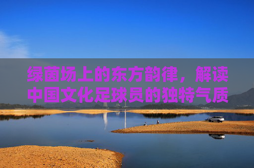 绿茵场上的东方韵律，解读中国文化足球员的独特气质