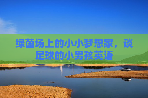 绿茵场上的小小梦想家，谈足球的小男孩英语