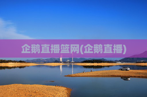 企鹅直播篮网(企鹅直播)