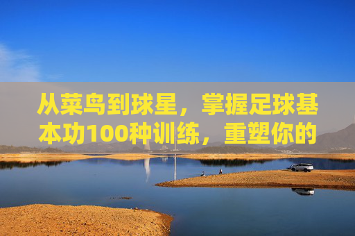 从菜鸟到球星，掌握足球基本功100种训练，重塑你的足球DNA