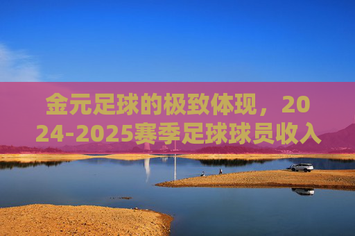 金元足球的极致体现，2024-2025赛季足球球员收入排行榜深度解析