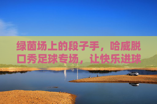 绿茵场上的段子手，哈威脱口秀足球专场，让快乐进球