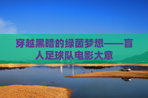 穿越黑暗的绿茵梦想——盲人足球队电影大意