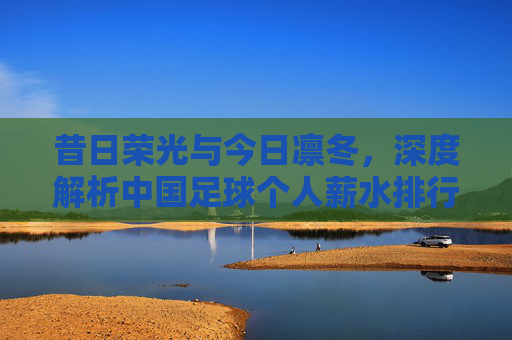 昔日荣光与今日凛冬，深度解析中国足球个人薪水排行榜的变迁