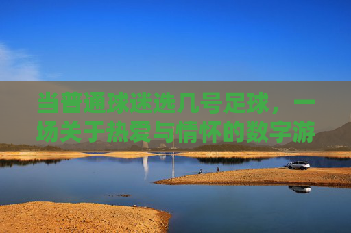当普通球迷选几号足球,一场关于热爱与情怀的数字游戏