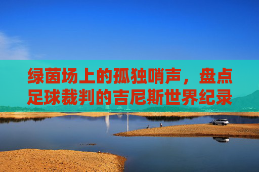 绿茵场上的孤独哨声,盘点足球裁判的吉尼斯世界纪录