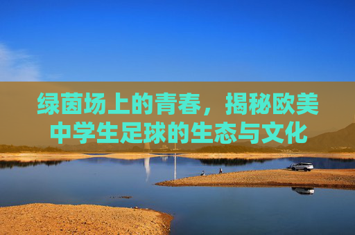 绿茵场上的青春,揭秘欧美中学生足球的生态与文化