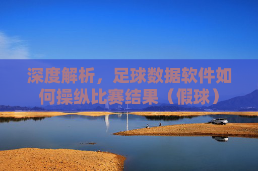 深度解析,足球数据软件如何操纵比赛结果(假球)