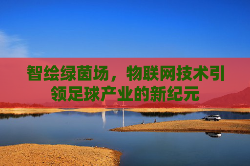 智绘绿茵场,物联网技术引领足球产业的新纪元
