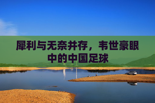 犀利与无奈并存,韦世豪眼中的中国足球