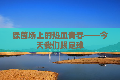 绿茵场上的热血青春——今天我们踢足球