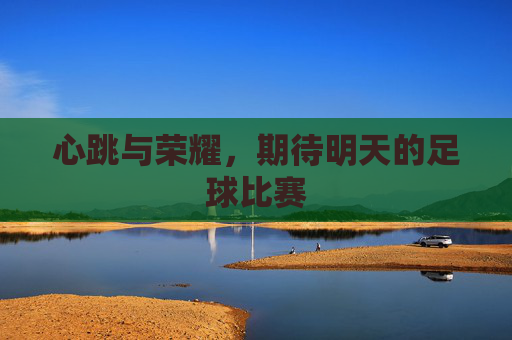 心跳与荣耀,期待明天的足球比赛
