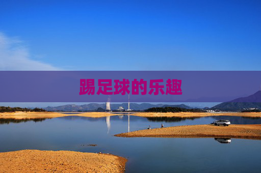 踢足球的乐趣