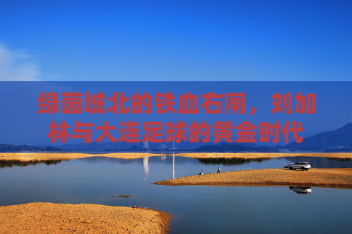 绿茵城北的铁血右闸，刘加林与大连足球的黄金时代